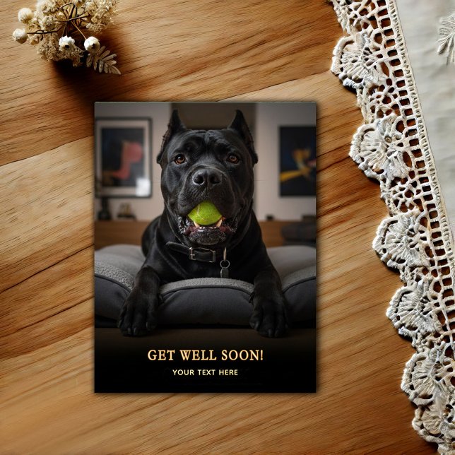 Cartão Postal Adorável Cane Corso Melhoras  (Criador carregado)