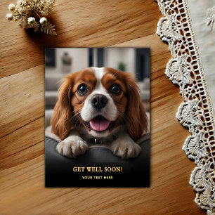 Cartão Postal Adorável Cavalier King Charles Spaniel Melhoras 