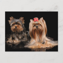 Cartão Postal Adorável dois