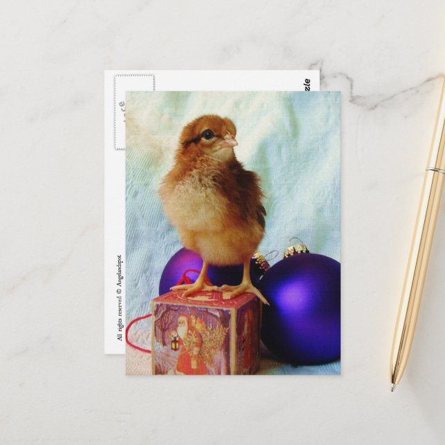 Cartão Postal Adorável Frango de Natal (Frente/Verso In Situ)