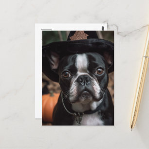 Cartão Postal Adorável Halloween Boston Terrier