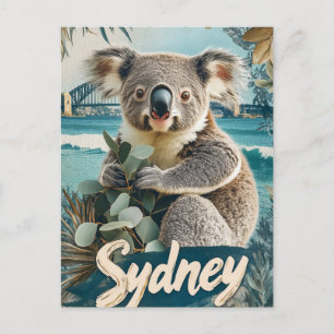 Cartão Postal Adorável Koala com ponte Sydney Harbor
