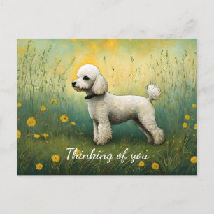 Cartão Postal Adorável Poodle no Prado Pensando em Você