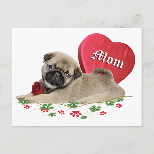 Cartão Postal Adorável Pug Mãe Design (Frente)