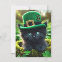 Adorável Rua Negra Sortuda. Gatinho do Dia de Patr