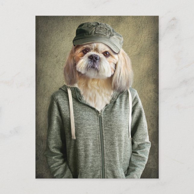 Cartão Postal Adorável Shih Tzu Vestindo um Boné e Hoodie (Frente)