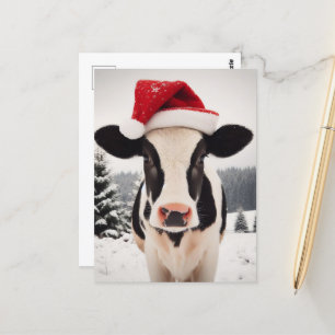 Cartão Postal Adorável Vitelo Leiteiro de Natal