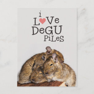 Cartão Postal Adoro Degu Piles