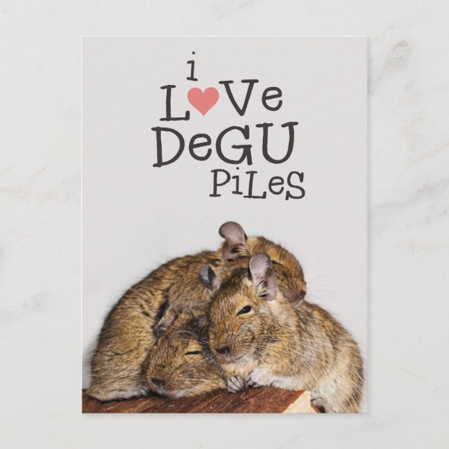 Cartão Postal Adoro Degu Piles (Frente)