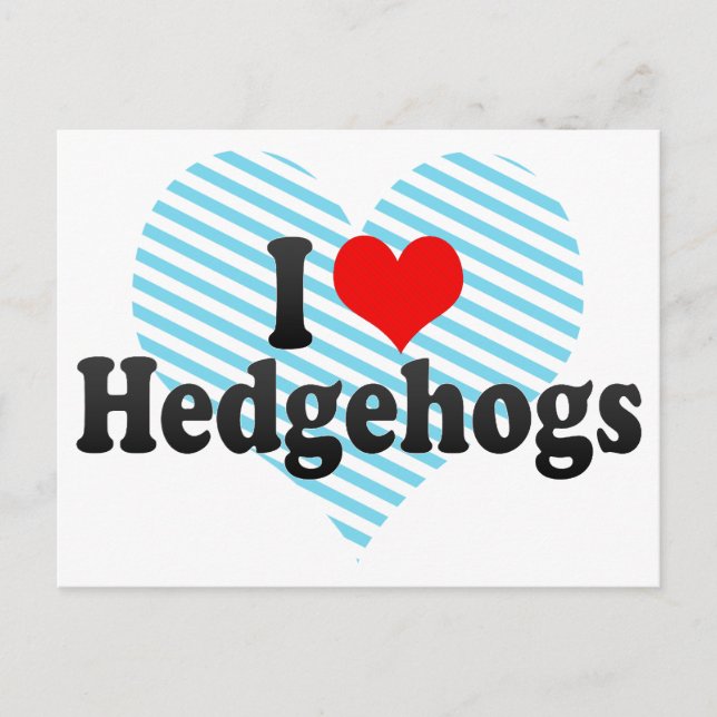 Cartão Postal Adoro Hedgehogs (Frente)