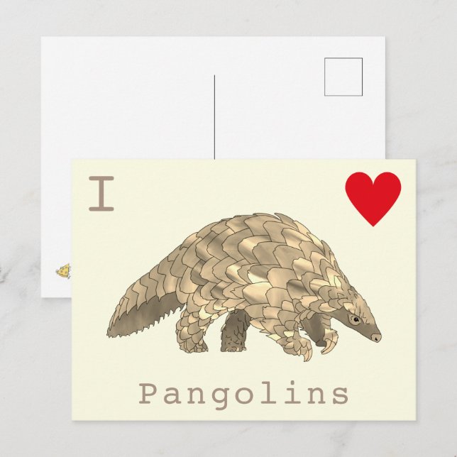Cartão Postal Adoro Pangolins raro slogan da vida selvagem (Frente/Verso)