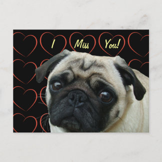 Cartão Postal Adoro Pugs com Corações