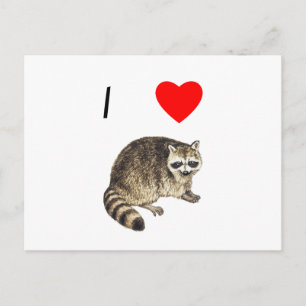 Cartão Postal Adoro Raccoons