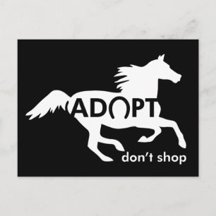 Cartão Postal Adotar Cavalos