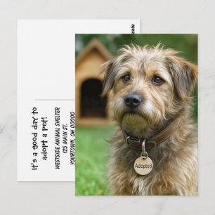 Cartão Postal Adote um Pet