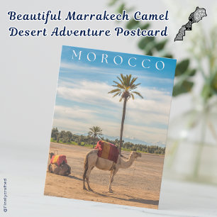 Cartão Postal Adventure Marrakech Camel