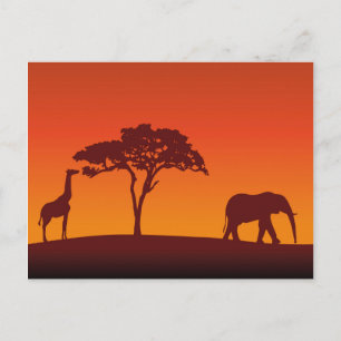 Cartão Postal Afafricano Safari Silhouette - Cartão-postal