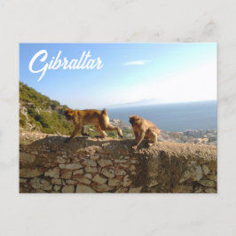 Cartão Postal Affen auf dem Fels in Gibraltar