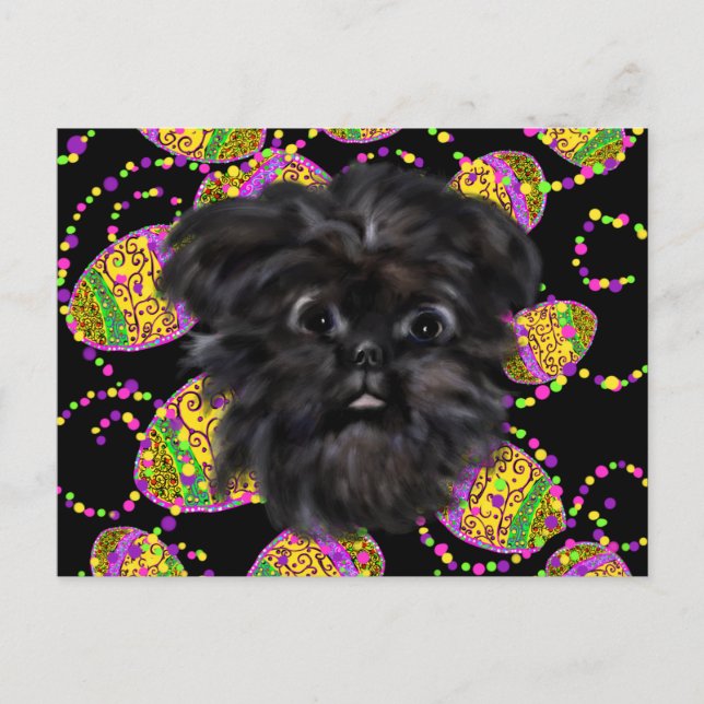 Cartão Postal Affenpinscher (Frente)