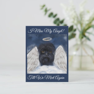 Cartão Postal Affenpinscher Anjo  