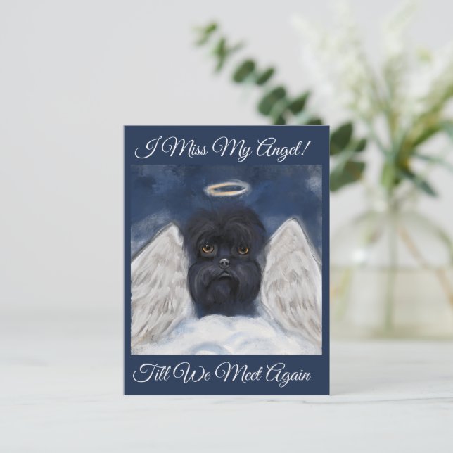 Cartão Postal Affenpinscher Anjo   (Em pé/Frente)