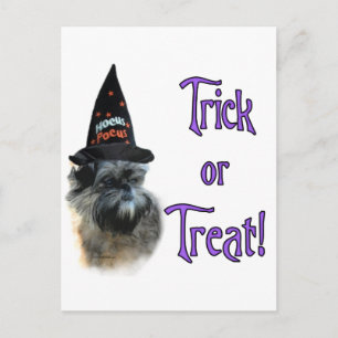 Cartão Postal Affenpinscher Trick