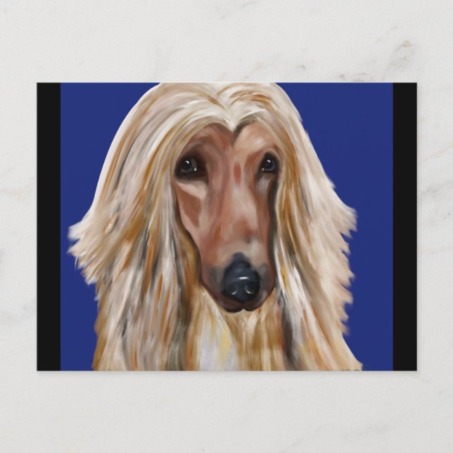CARTÃO POSTAL AFGHAN HOUND (Frente)