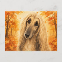 Afghan Hound Autumn Forest Dog