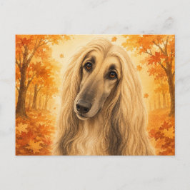 Cartão Postal Afghan Hound Autumn Forest Dog