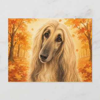 Cartão Postal Afghan Hound Autumn Forest Dog