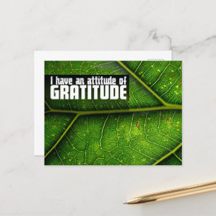Cartão Postal Afirmação de Motivação "Atitude de gratidão"