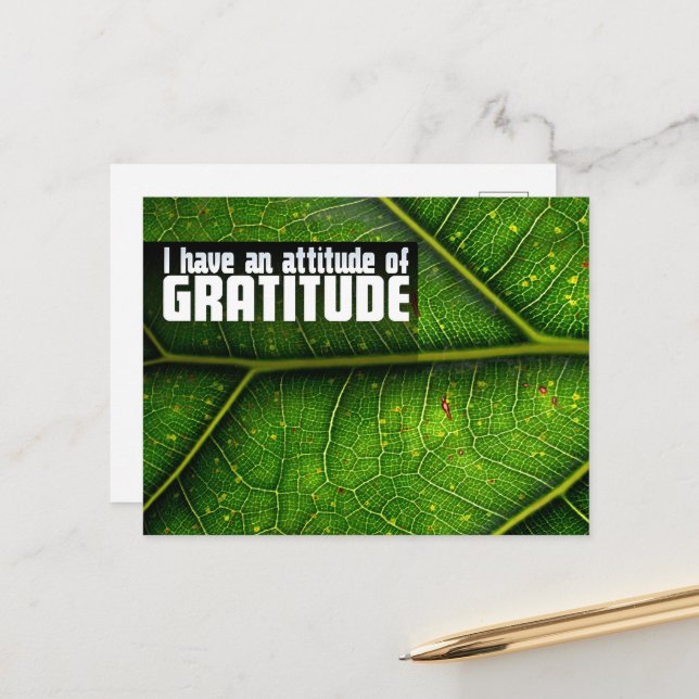 Cartão Postal Afirmação de Motivação "Atitude de gratidão" (Frente/Verso In Situ)