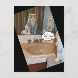 Cartão Postal Afirmação Engraçada de Gato Sobre um Aumento