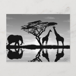 Cartão Postal África