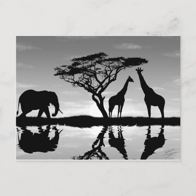 Cartão Postal África (Frente)
