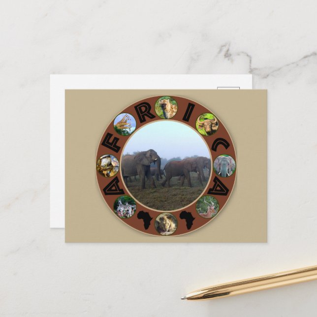 Cartão Postal África, Circulo Selvagem, Elefante Herd Mist (Frente/Verso In Situ)