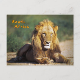 Cartão Postal África do Sul