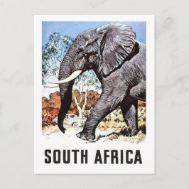 Cartão Postal África do Sul, grande elefante, viagens vintage po