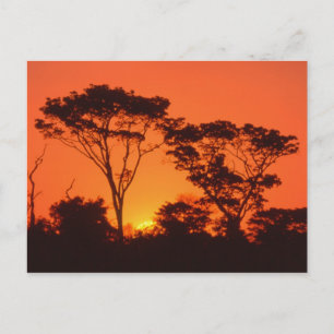 Cartão Postal África do Sul.  pôr do sol africano.