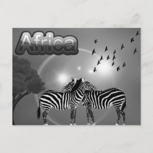 Cartão Postal África do Sul Vintage Zebra Viagem