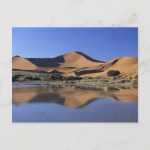 Cartão Postal África, Namíbia, Parque Nacional do Namibe, Sossus