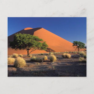 Cartão Postal África, Namíbia, Parque Namib-Naukluff, Sossosvl