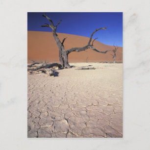Cartão Postal África, Namíbia, Região de Sossusvlei. Dunas de ar