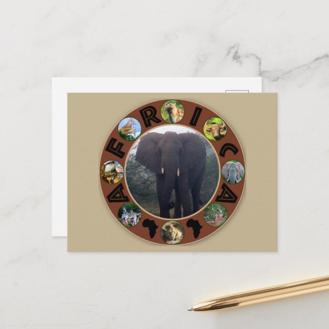 Cartão Postal África - Nascença do Elefante do Círculo da Vida S (Frente/Verso In Situ)