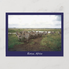 Cartão Postal África Quênia animais selvagens