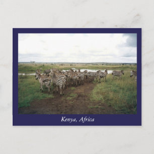 Cartão Postal África Quênia animais selvagens