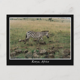 Cartão Postal África Quênia animais selvagens