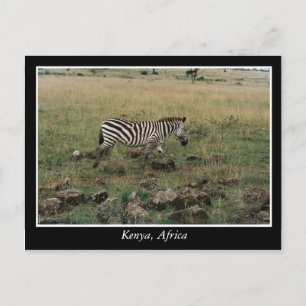 Cartão Postal África Quênia animais selvagens