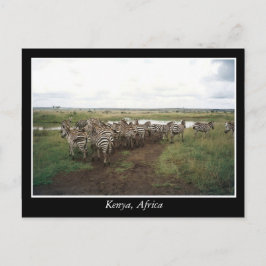 Cartão Postal África Quênia animais selvagens
