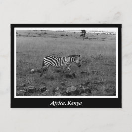 Cartão Postal África Quênia animais selvagens